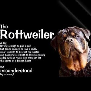 Meet your Posher, Carl